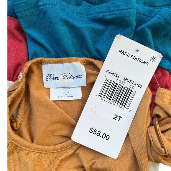 NEW Rare Editions Colorblock Dress Fall Colors Rayon Spandex Girl's Size 2T - Picture 3 of 4